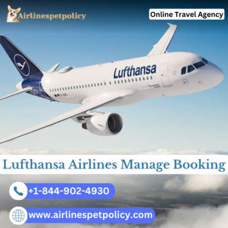 how-do-i-manage-my-lufthansa-airlines-booking-big-0
