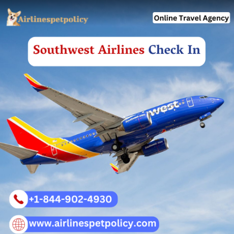 can-i-check-in-my-baggage-online-with-southwest-airlines-big-0
