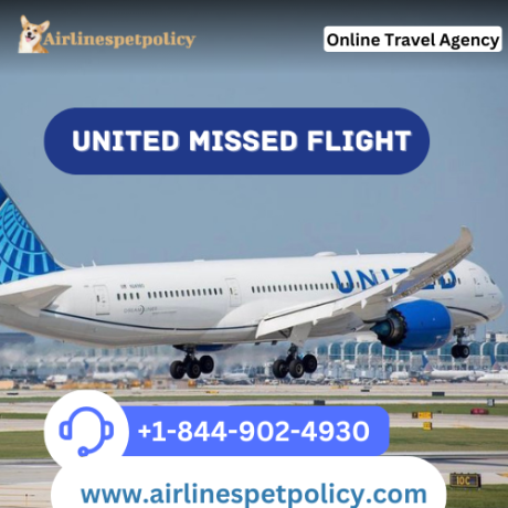how-to-change-the-date-on-a-missed-united-airlines-flight-big-0