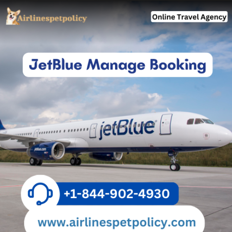 how-to-manage-booking-on-jetblue-airlines-online-big-0