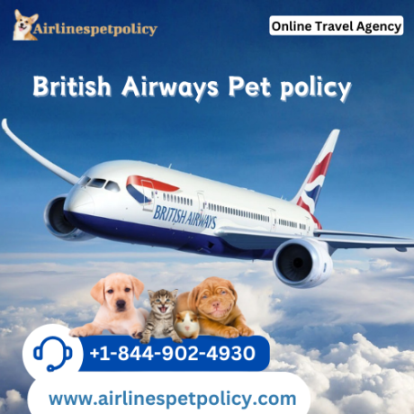 how-do-i-book-a-flight-for-my-pet-on-british-airways-big-0