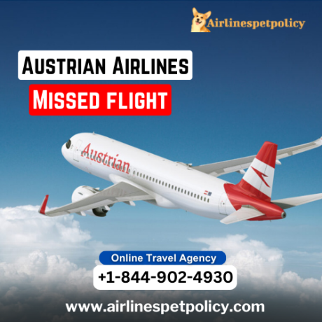 what-happens-if-i-miss-my-austrian-airlines-flight-big-0