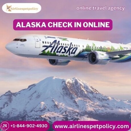how-soon-can-i-check-in-online-for-alaska-airlines-big-0