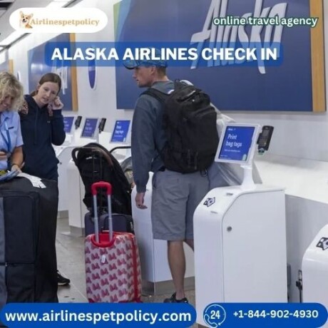 when-can-i-check-in-alaska-airlines-big-0