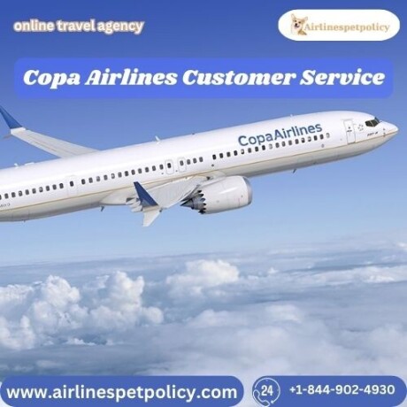 how-do-i-contact-copa-airlines-customer-service-big-0