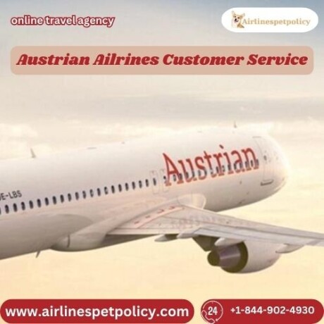 how-do-i-speak-to-austrian-airlines-customer-service-big-0