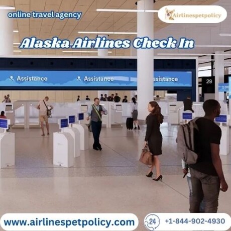 how-to-check-in-on-alaska-airlines-big-0