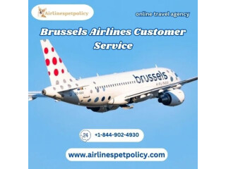 How do I contact Brussels Airlines?