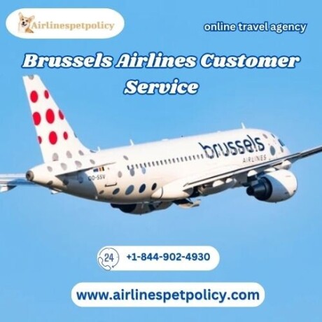 how-do-i-contact-brussels-airlines-big-0