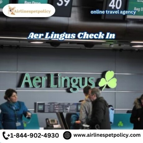 how-do-i-check-in-for-my-aer-lingus-flight-big-0