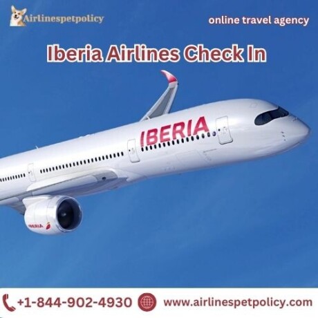 how-to-check-in-iberia-airlines-big-0