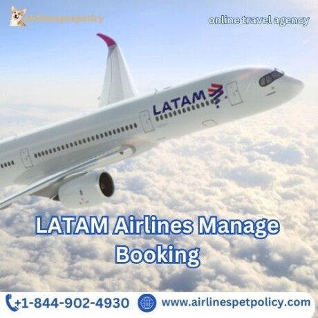 how-do-i-manage-my-latam-airlines-booking-big-0
