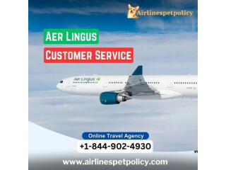 How can I speak to someone in Aer Lingus?