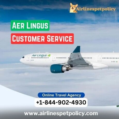 how-can-i-speak-to-someone-in-aer-lingus-big-0