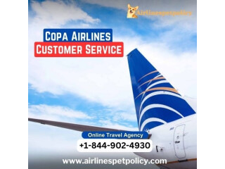 How do I Talk to a Live Person at Copa Airlines?