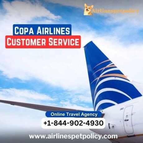 how-do-i-talk-to-a-live-person-at-copa-airlines-big-0