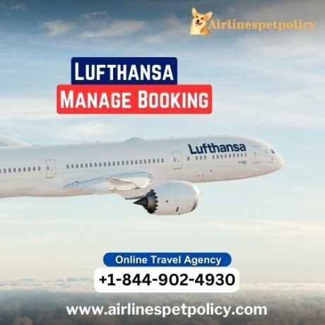 how-do-i-manage-my-booking-with-lufthansa-big-0