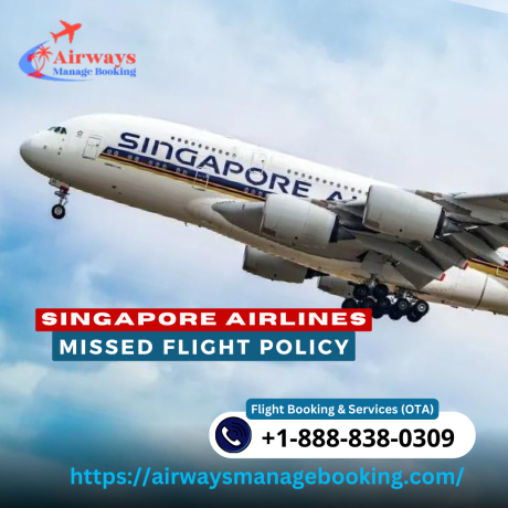 what-to-do-if-missed-a-singapore-airlines-flight-big-0