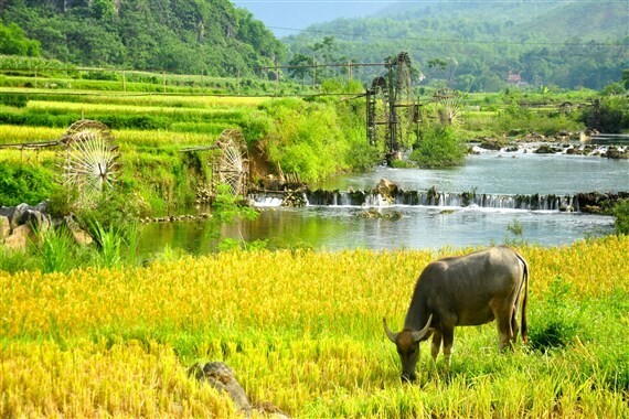 vietnam-family-tours-big-0